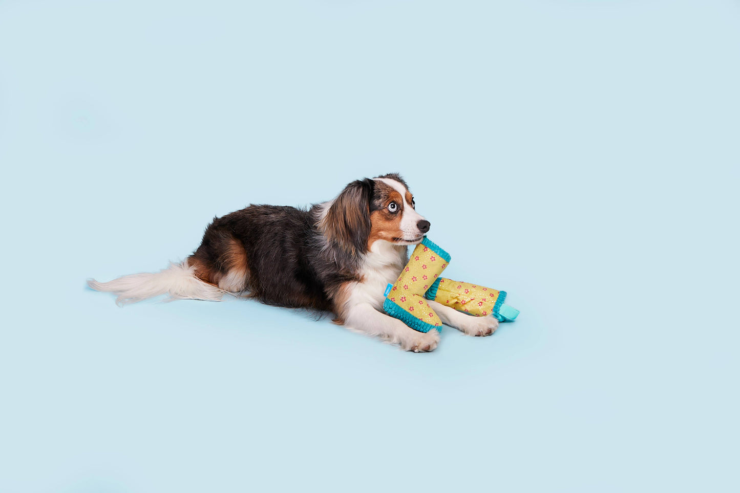 Smelly Wellies Dog Toy