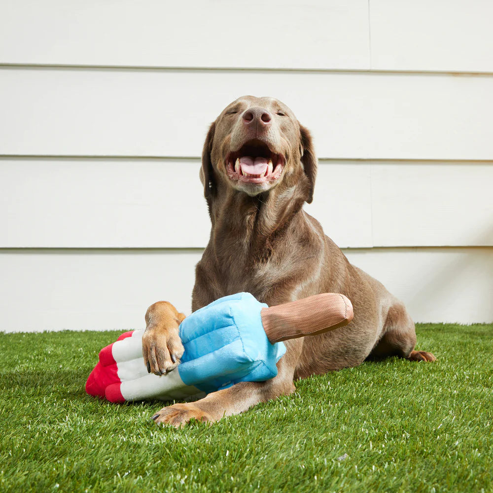 Rocket Popsicle Dog Toy