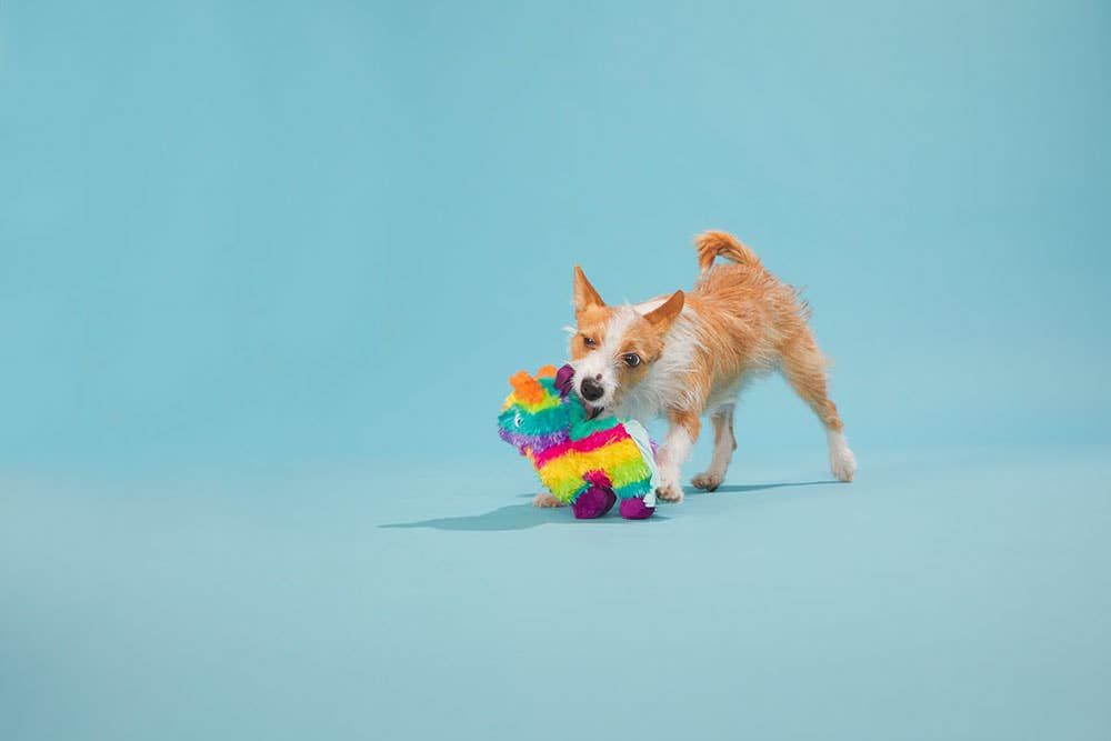 Full O' Fluff Piñata