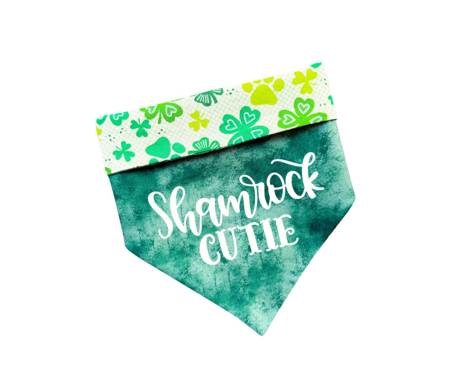 Shamrock Cutie Bandana
