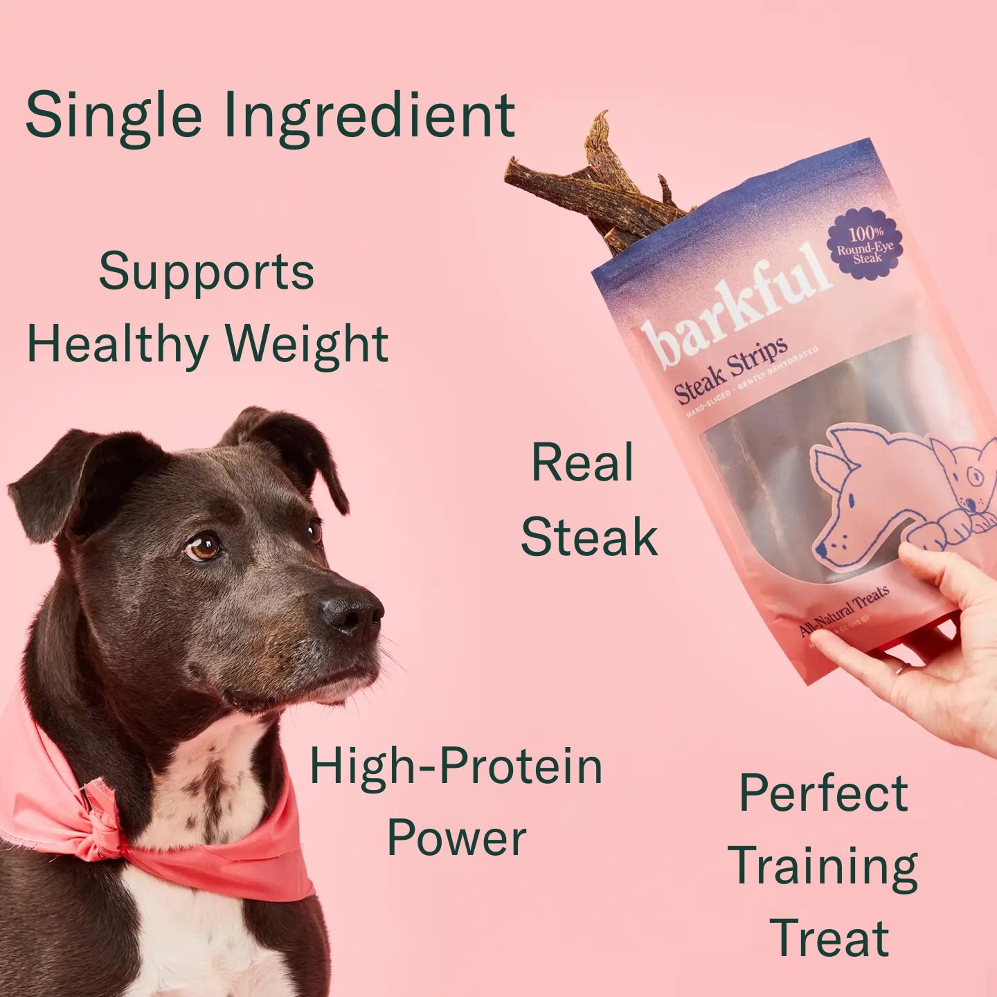 Steak Strips Dog Treats