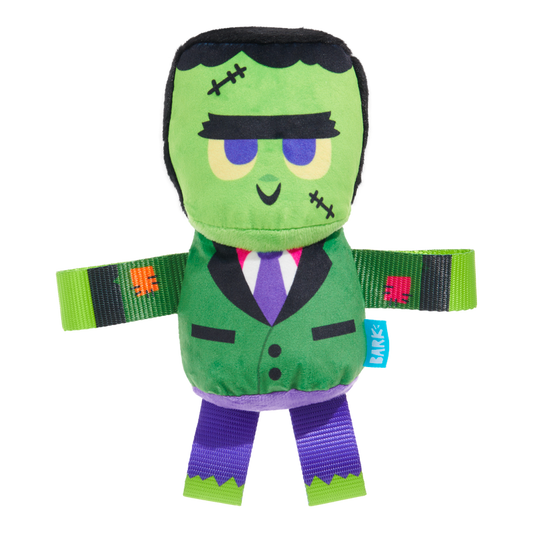 Frankenstein’s Party Plush Dog Toy