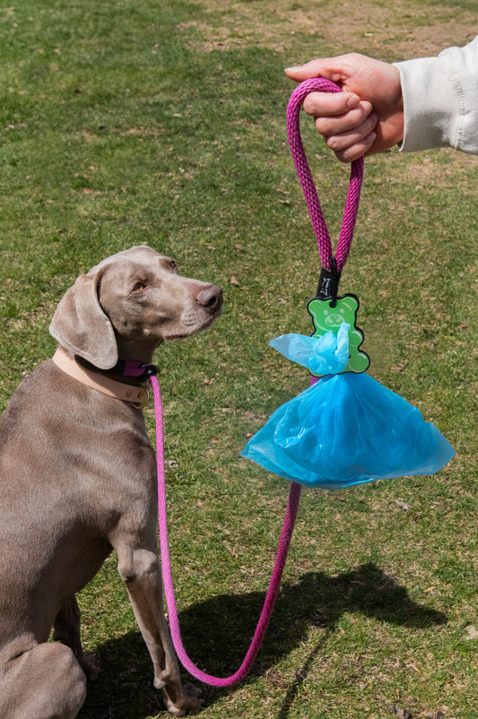 Green Gummy Bear Poopy Loop®