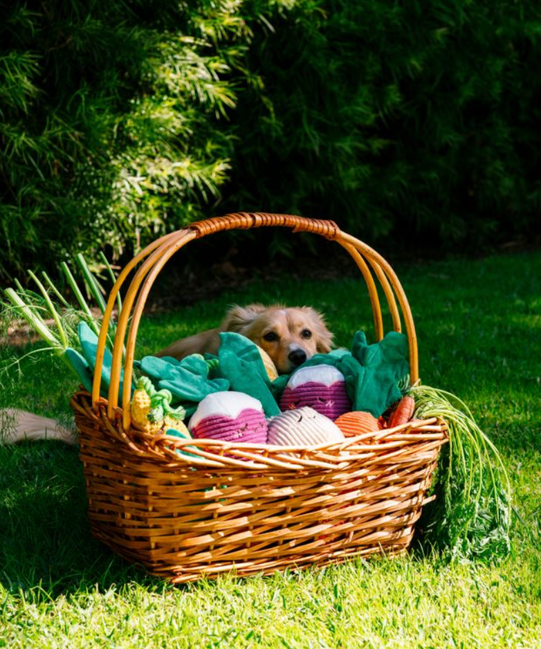 Radish Dog Toy