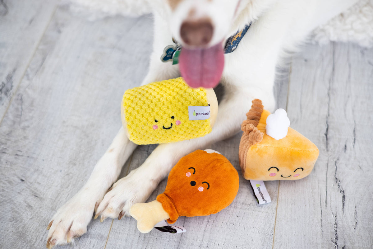 Thanksgiving Dinner Toy Set