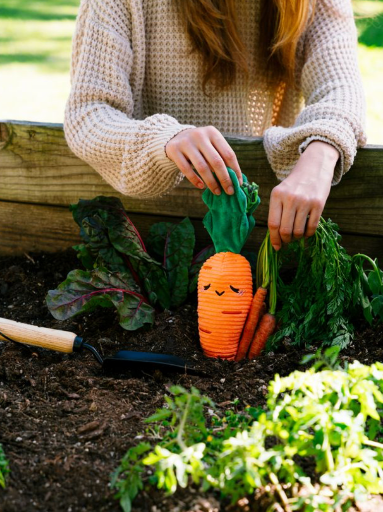 Carrot Dog Toy