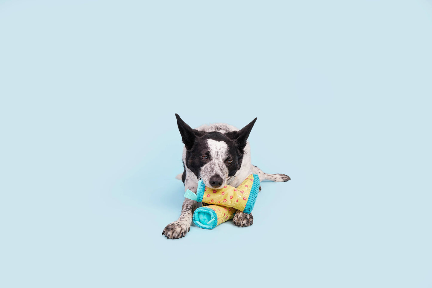 Smelly Wellies Dog Toy