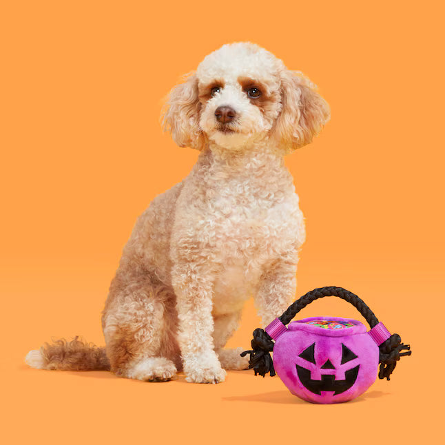 Bark or Treat Plush Dog Toy