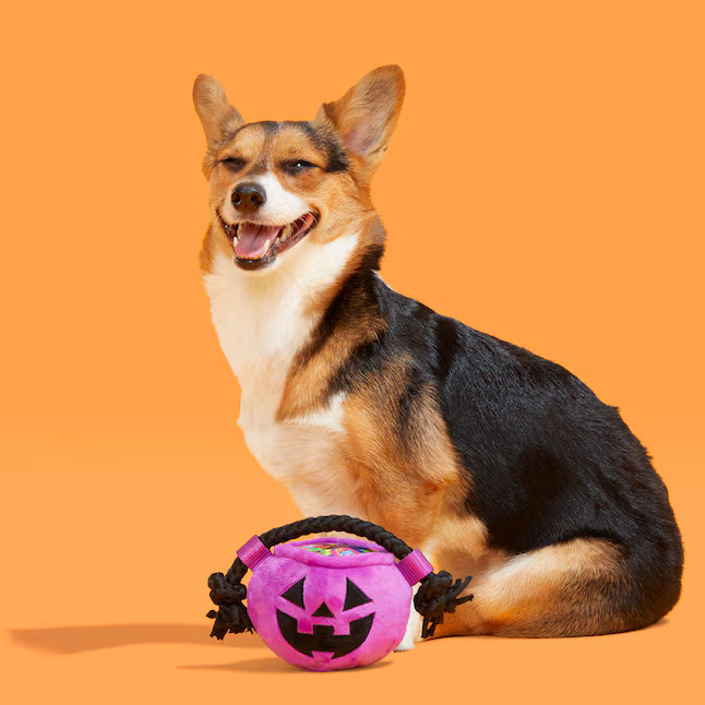 Bark or Treat Plush Dog Toy