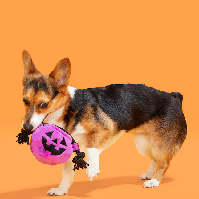 Bark or Treat Plush Dog Toy