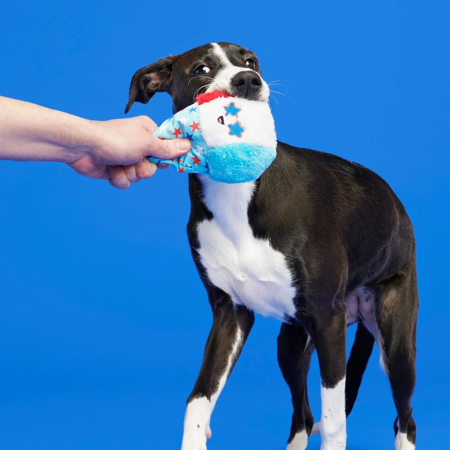 Liberty Cone Dog Toy