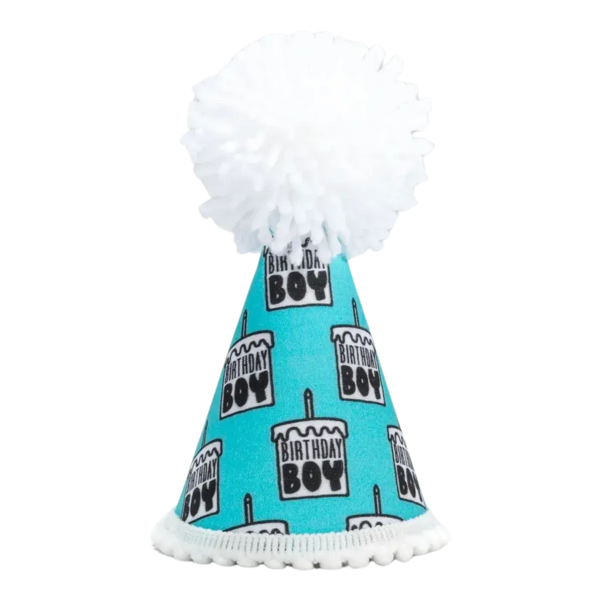 Birthday Boy Party Hat