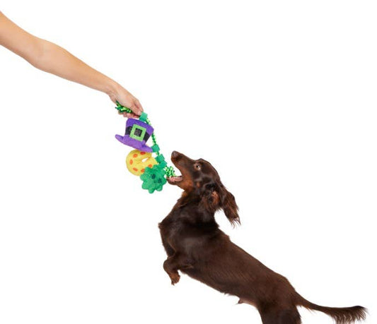 Tuggy Charms Dog Toy