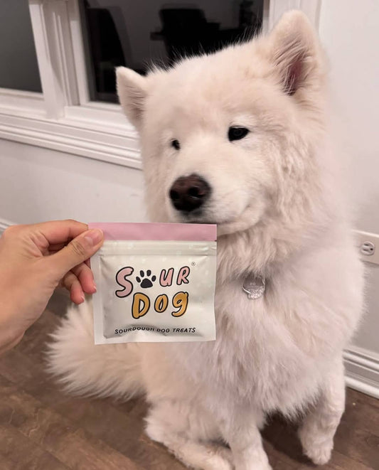 Sourdough Dog Treat Sampler Pouch
