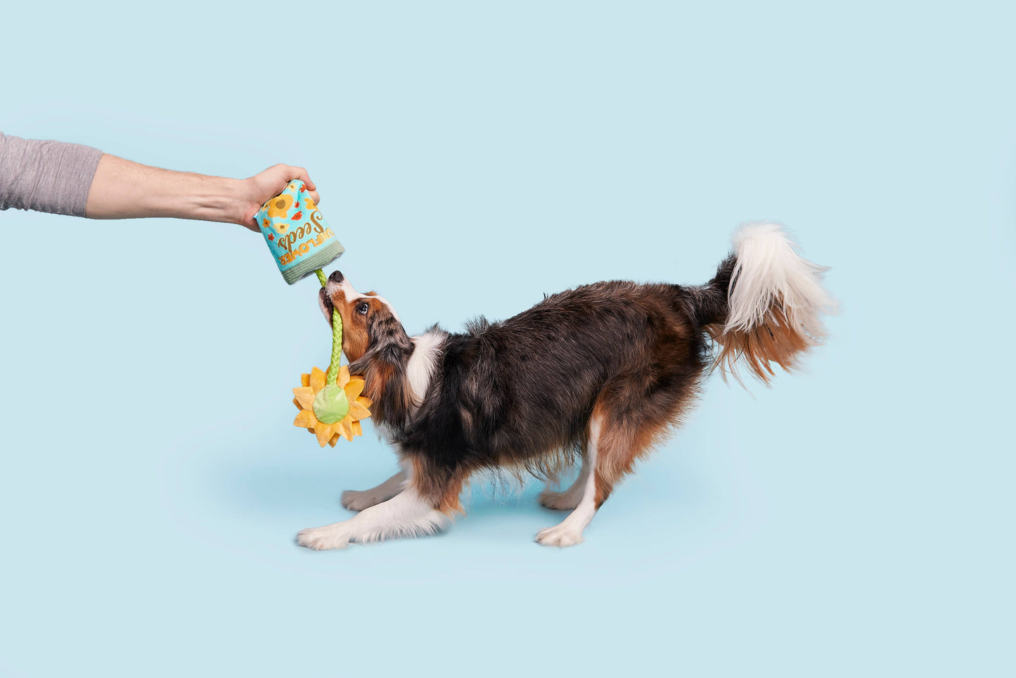Funflower Seeds Dog Toy
