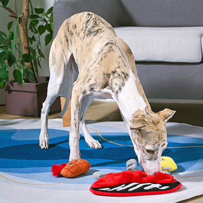 BBQ Grill Dog Snuffle Toy