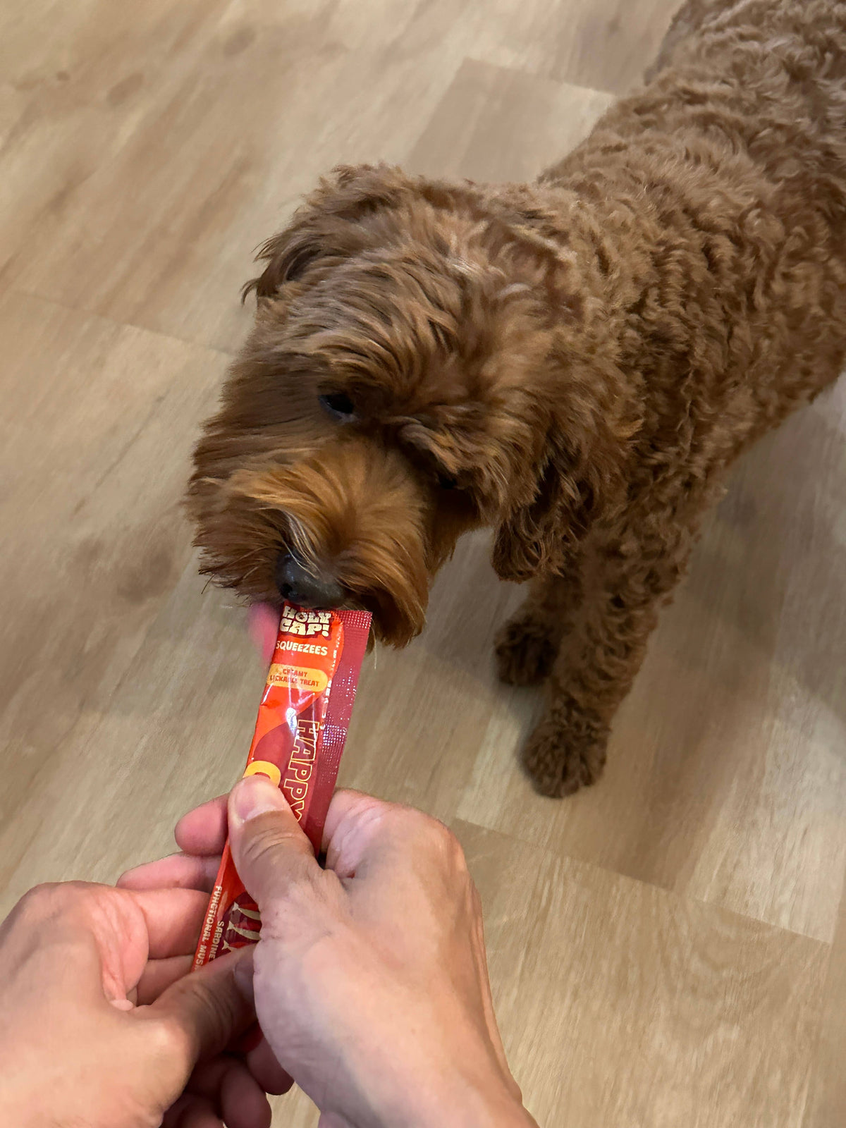 Happy Gut Lickable Treats