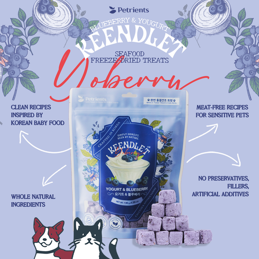 Yogurt, Cheese & Blueberry Mini Treat