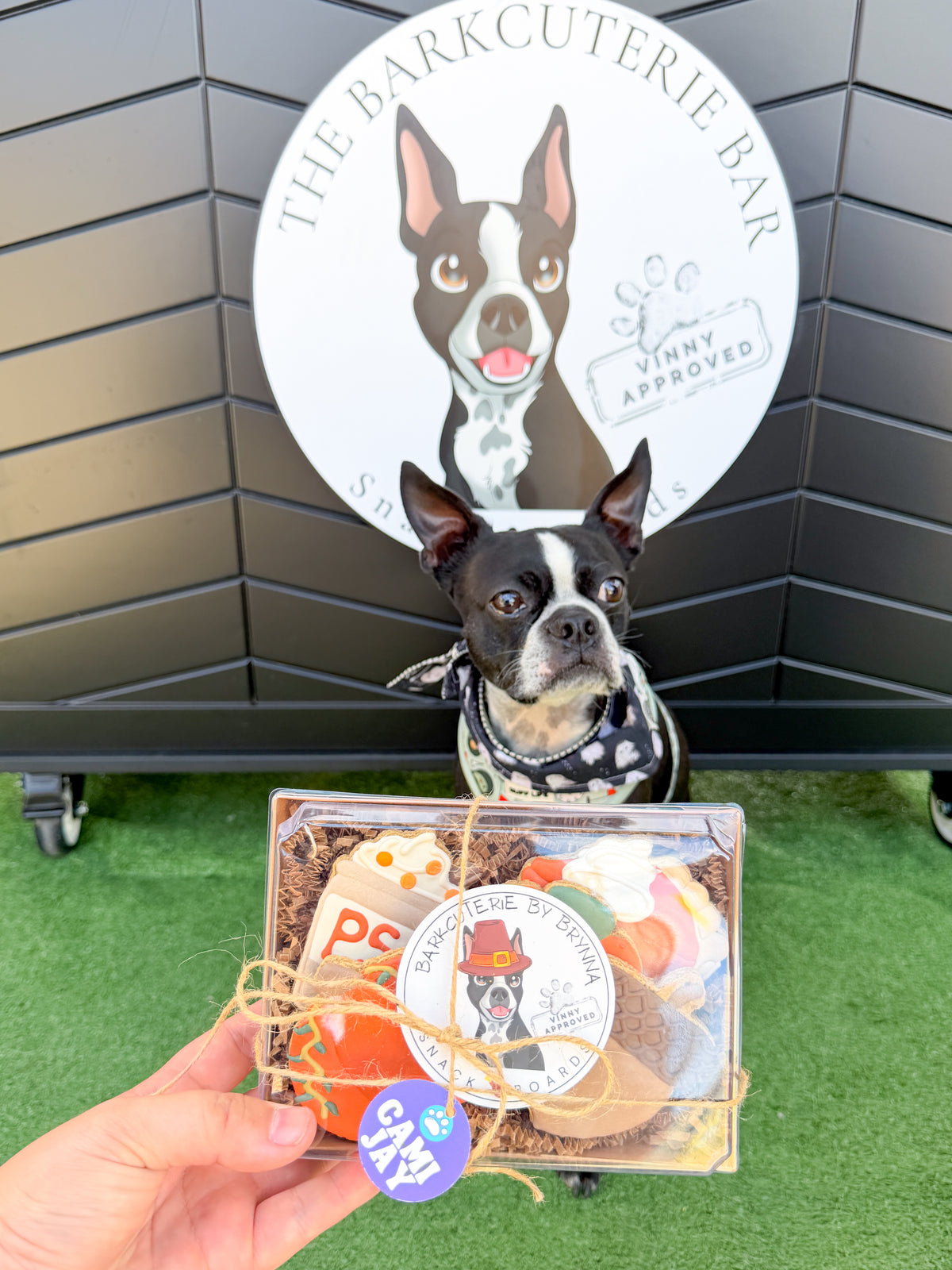 Pawtumn Dog Cookies - LOCAL PICK UP ONLY