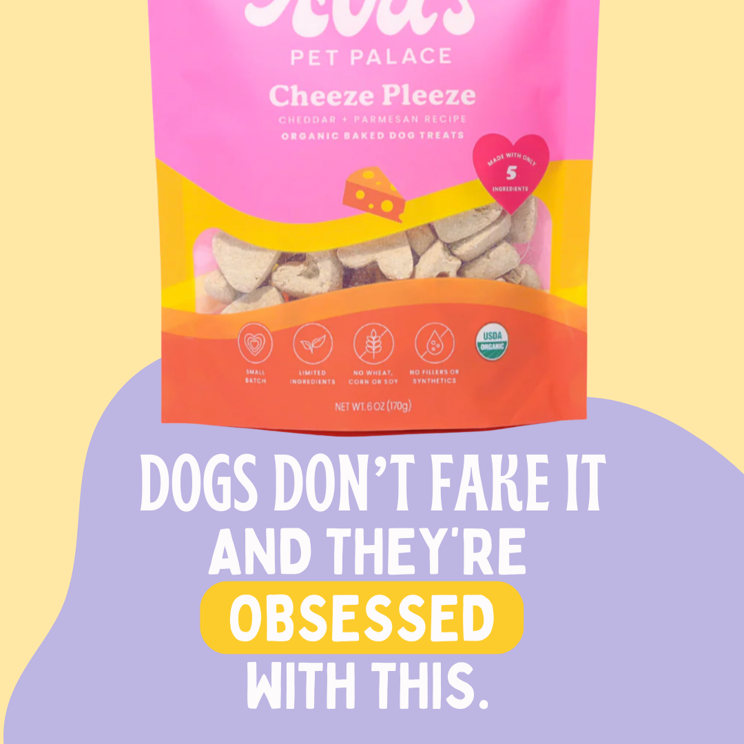 Cheeze Pleeze Dog Treats