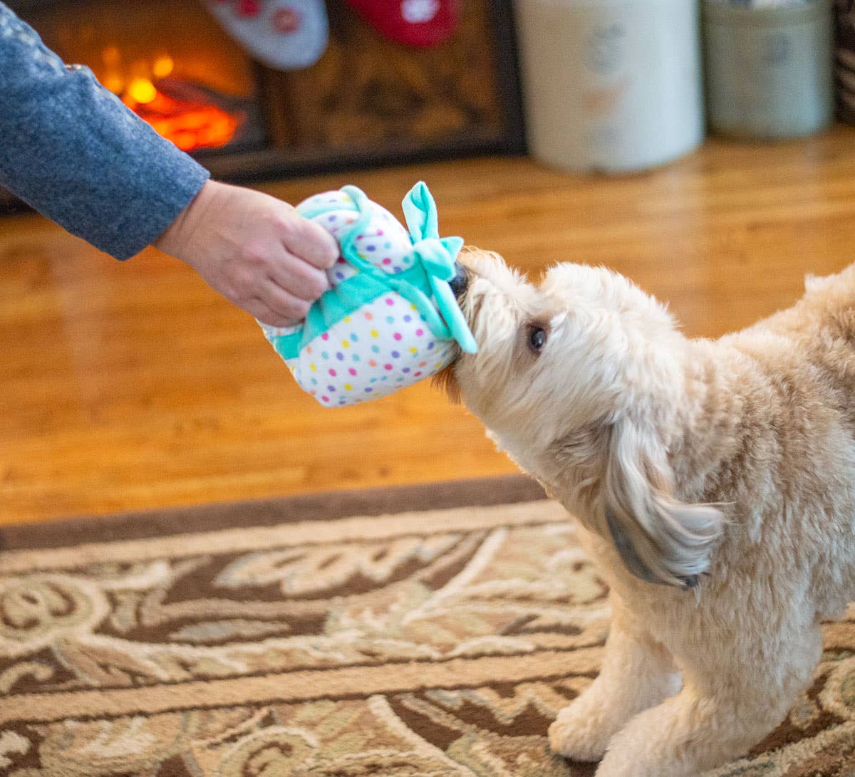 Birthday Gift Plush Dog Toy
