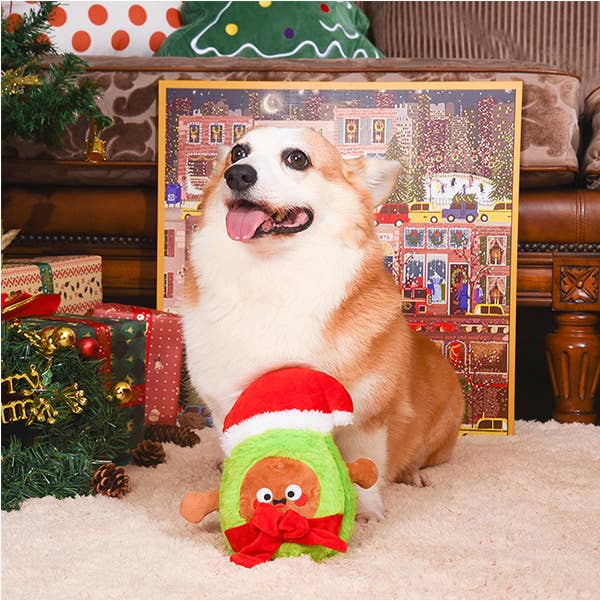 Santa Avocado Dog Toy