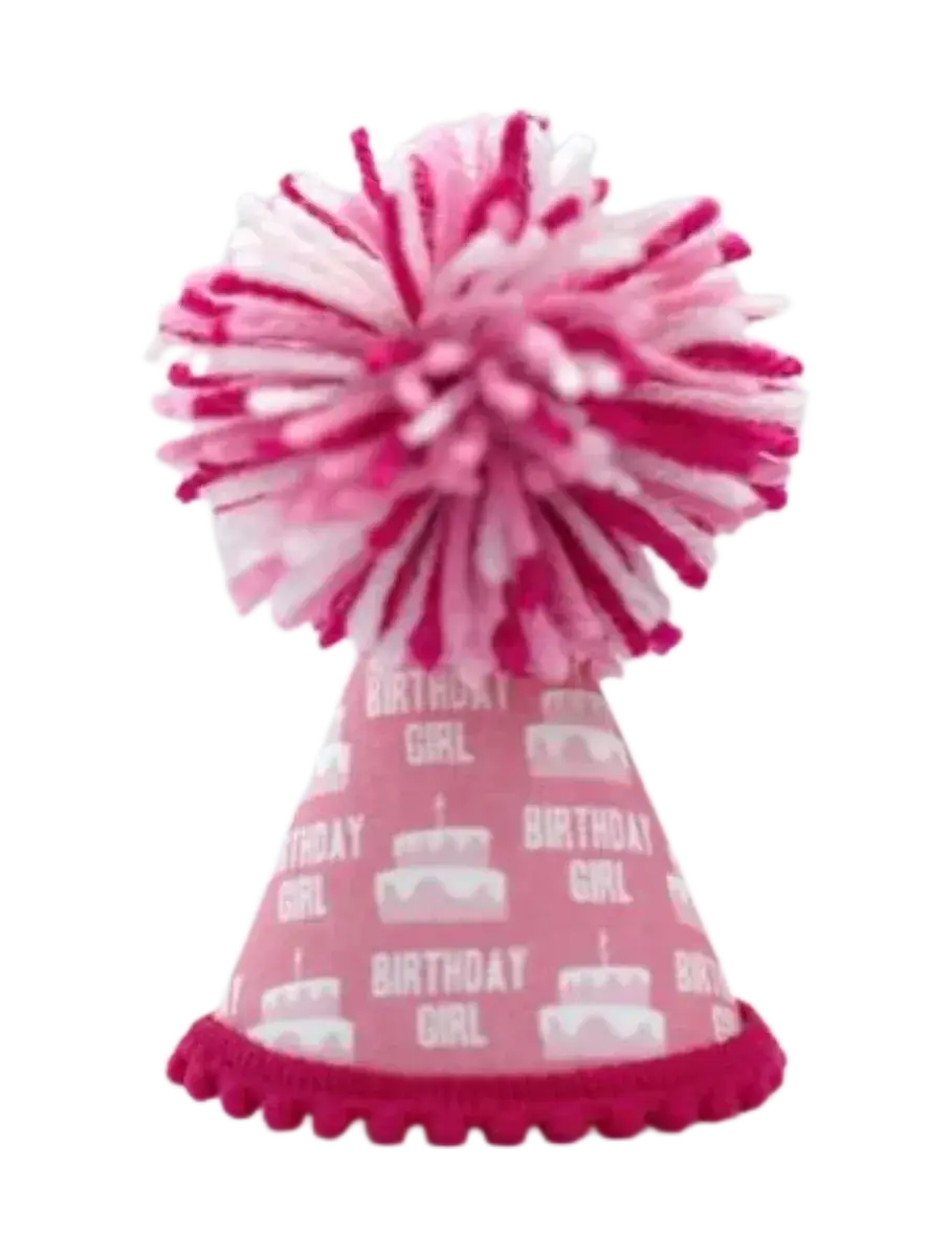Bday Girl Party Hat