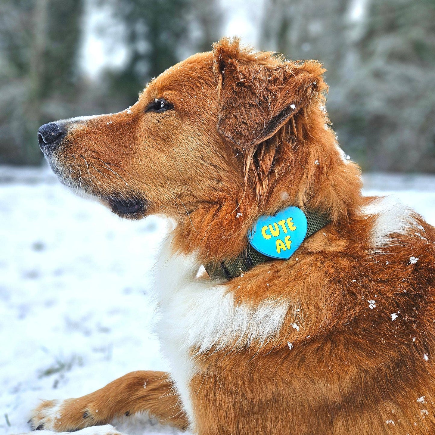 Cute AF Blue Jiby Dog Charm