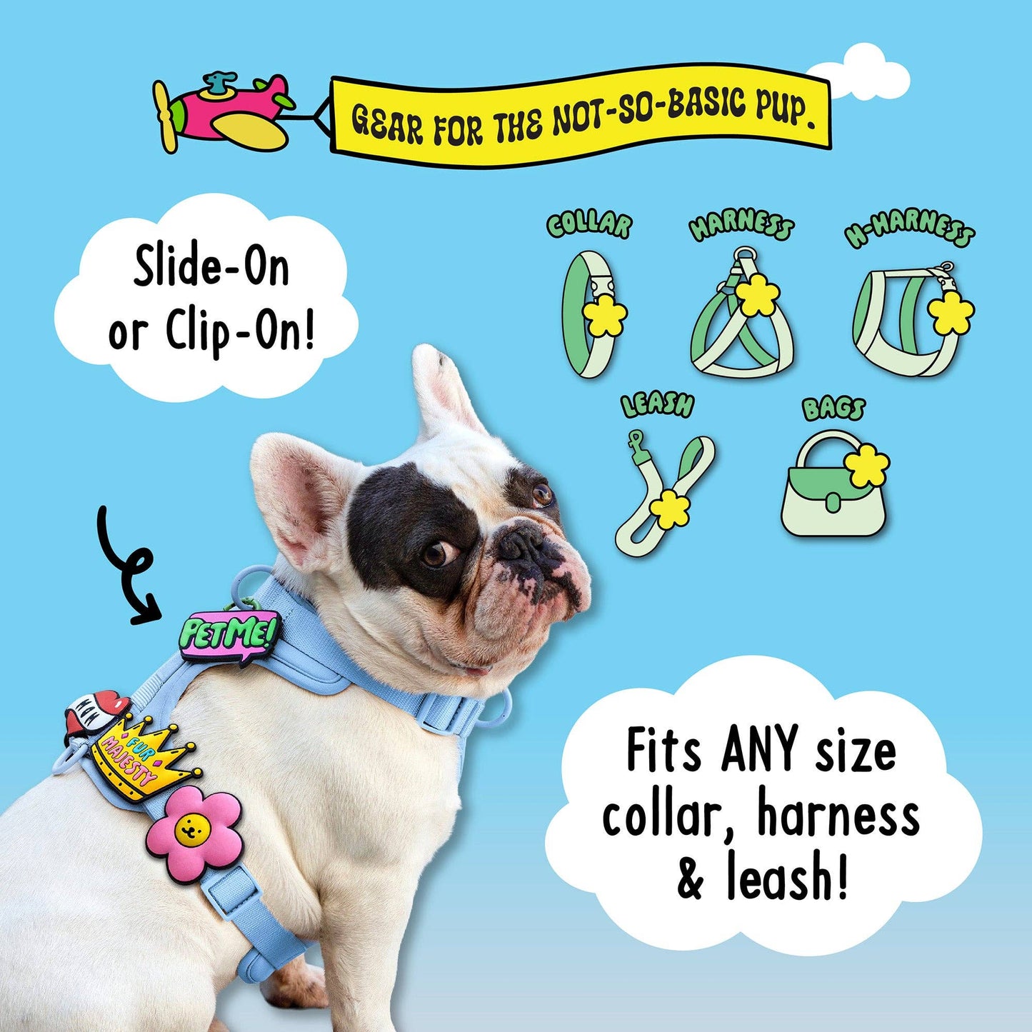 Spoody the Spider Jiby Dog Charm