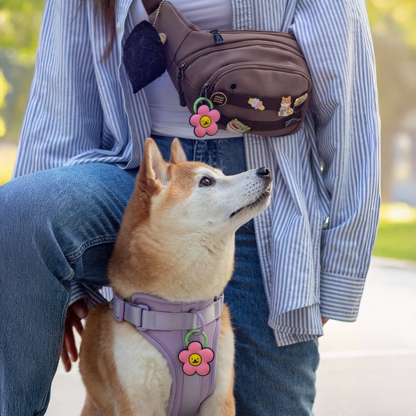 Pink Daisy Jiby Dog Charm