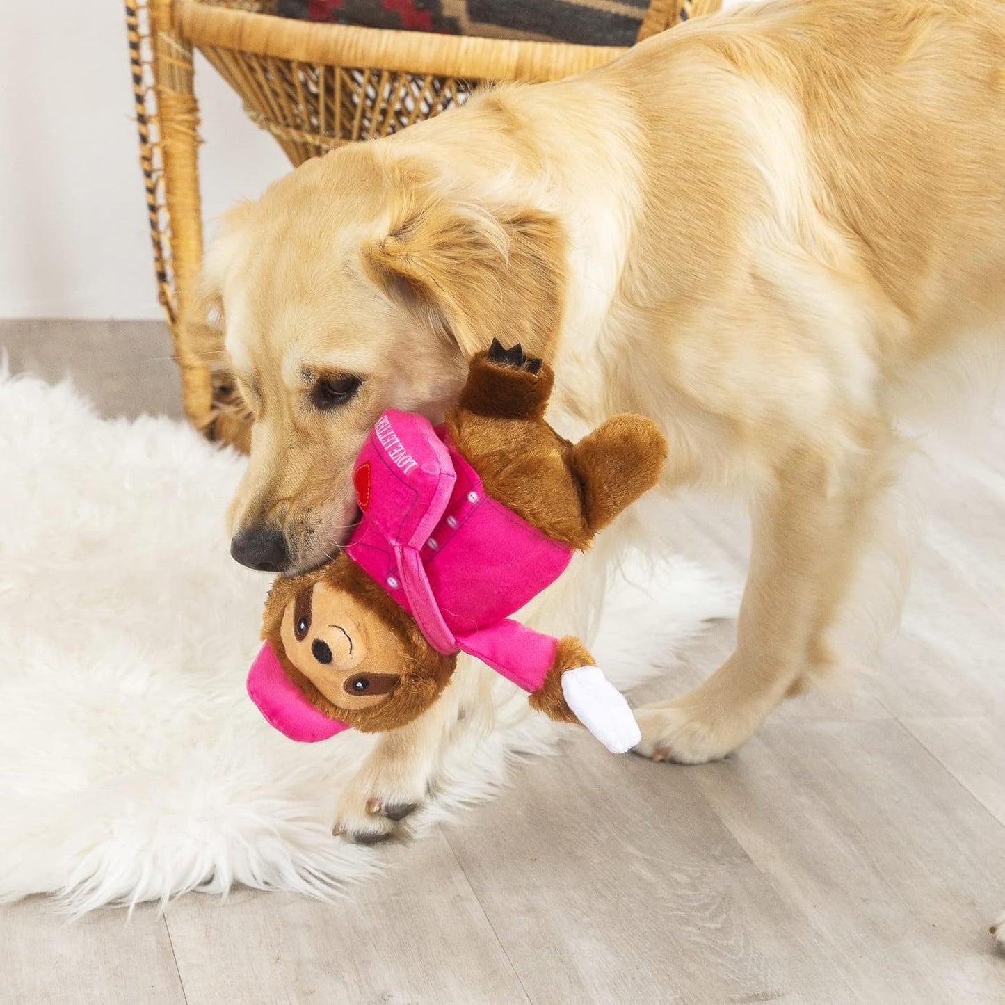 Love On Delivery Dog Toy