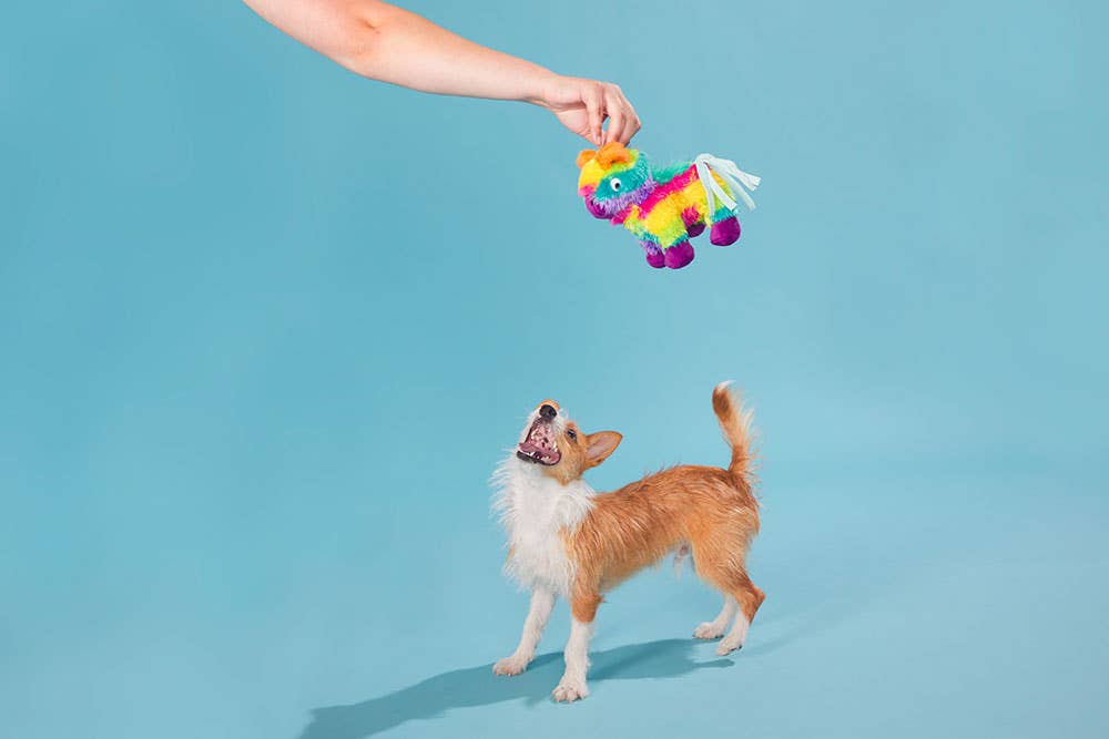 Full O' Fluff Piñata