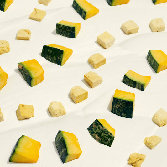 Freeze-dried Greek Yogurt with Pumpkin