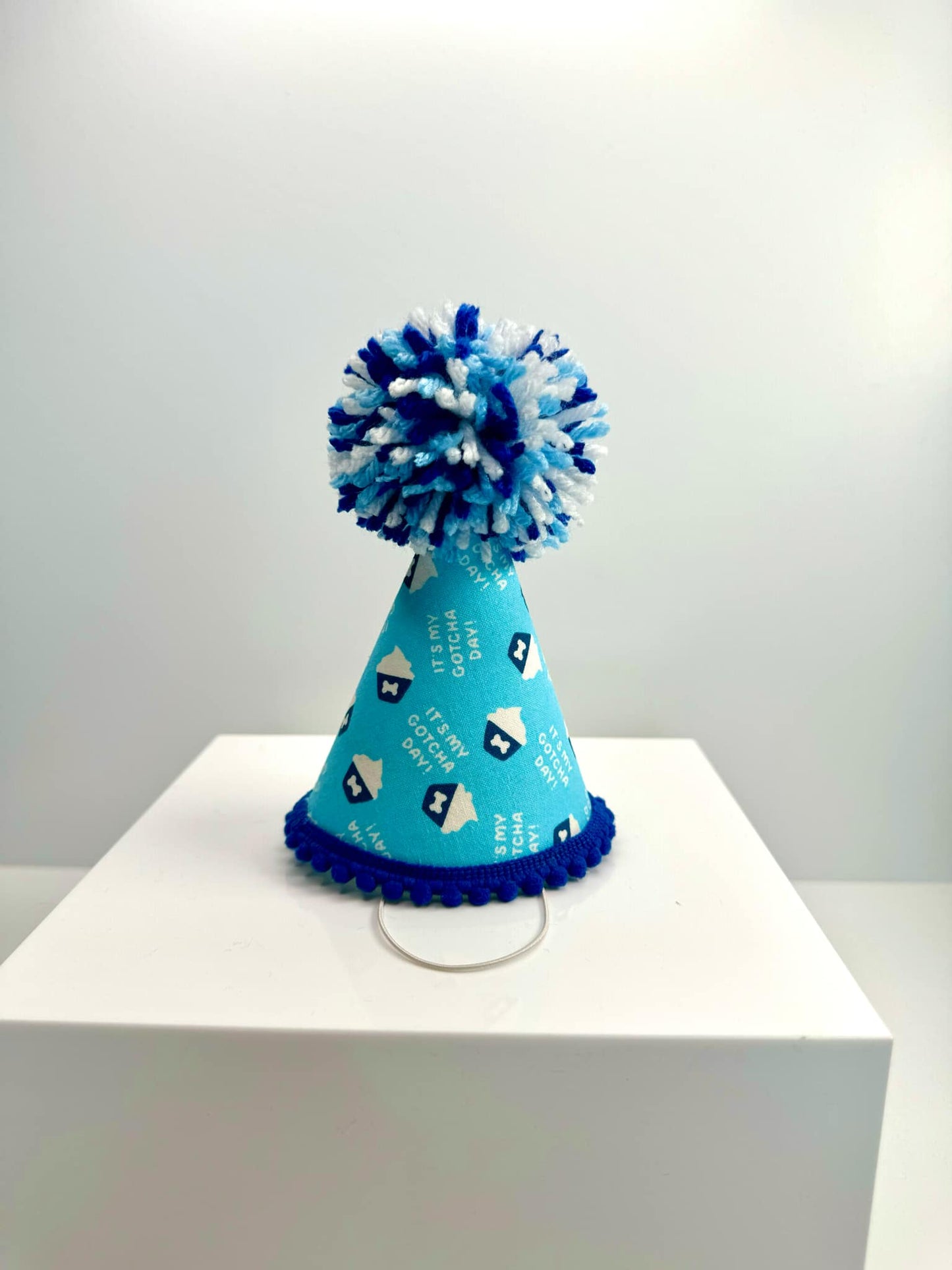 Gotcha Day Blue Party Hat