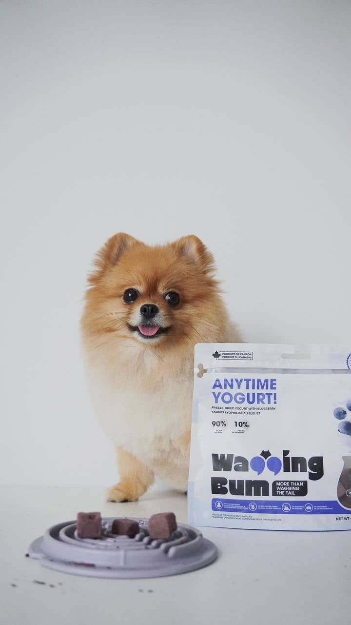 Freeze-dried Greek Yogurt with Blueberry