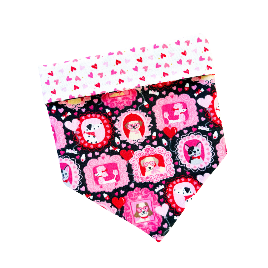 Puppy Love Bandana