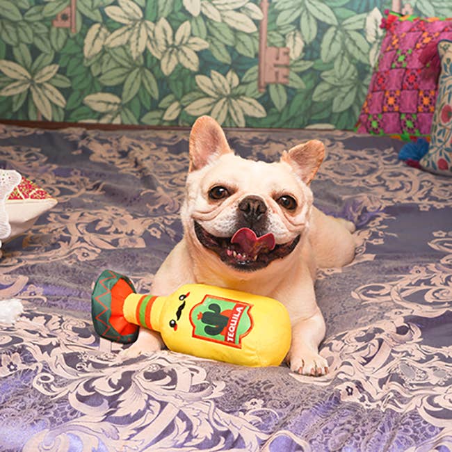 Tequila Dog Toy