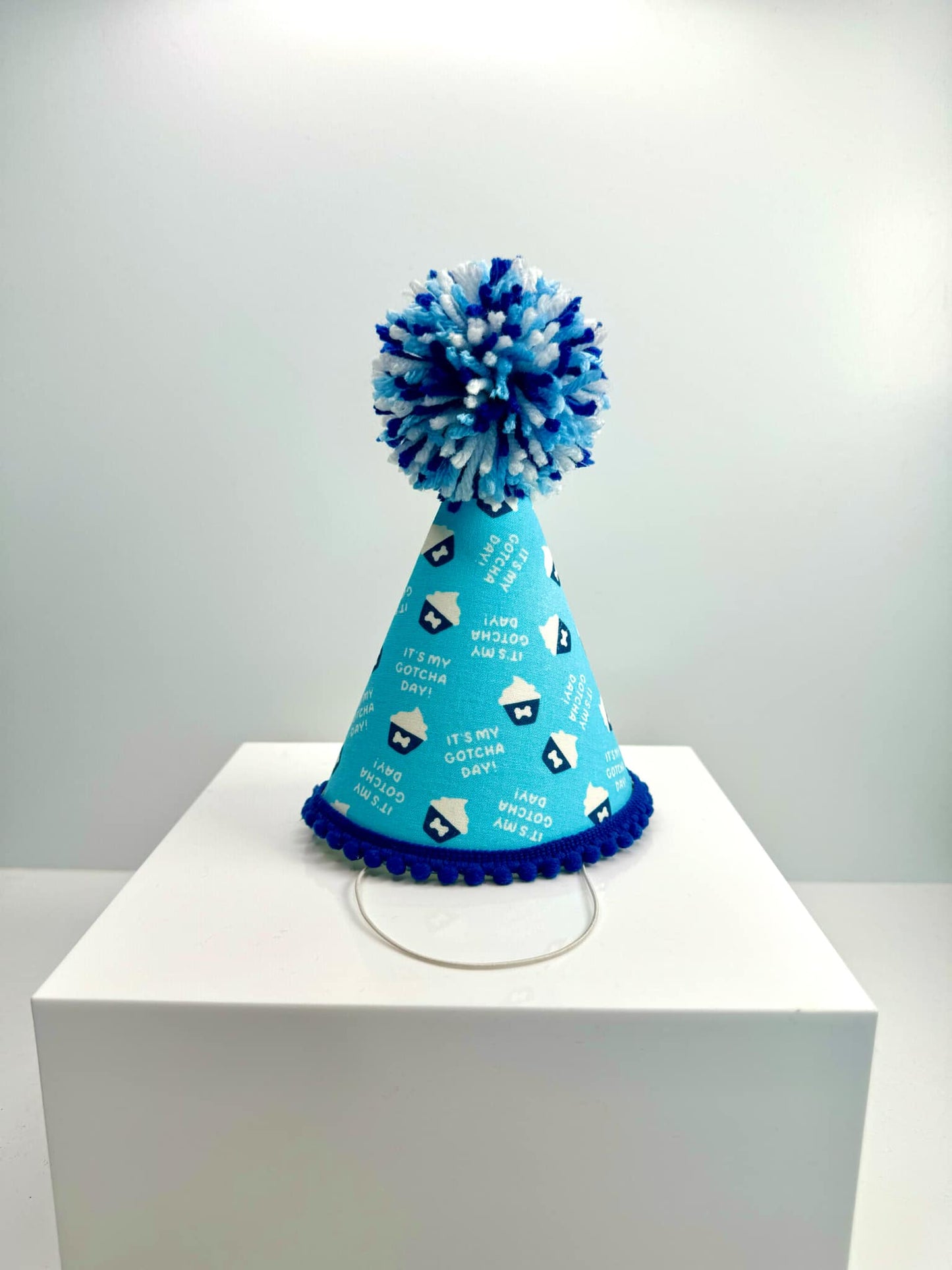 Gotcha Day Blue Party Hat