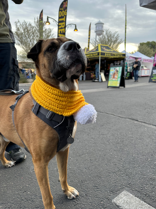 Autumn Dog Scarf