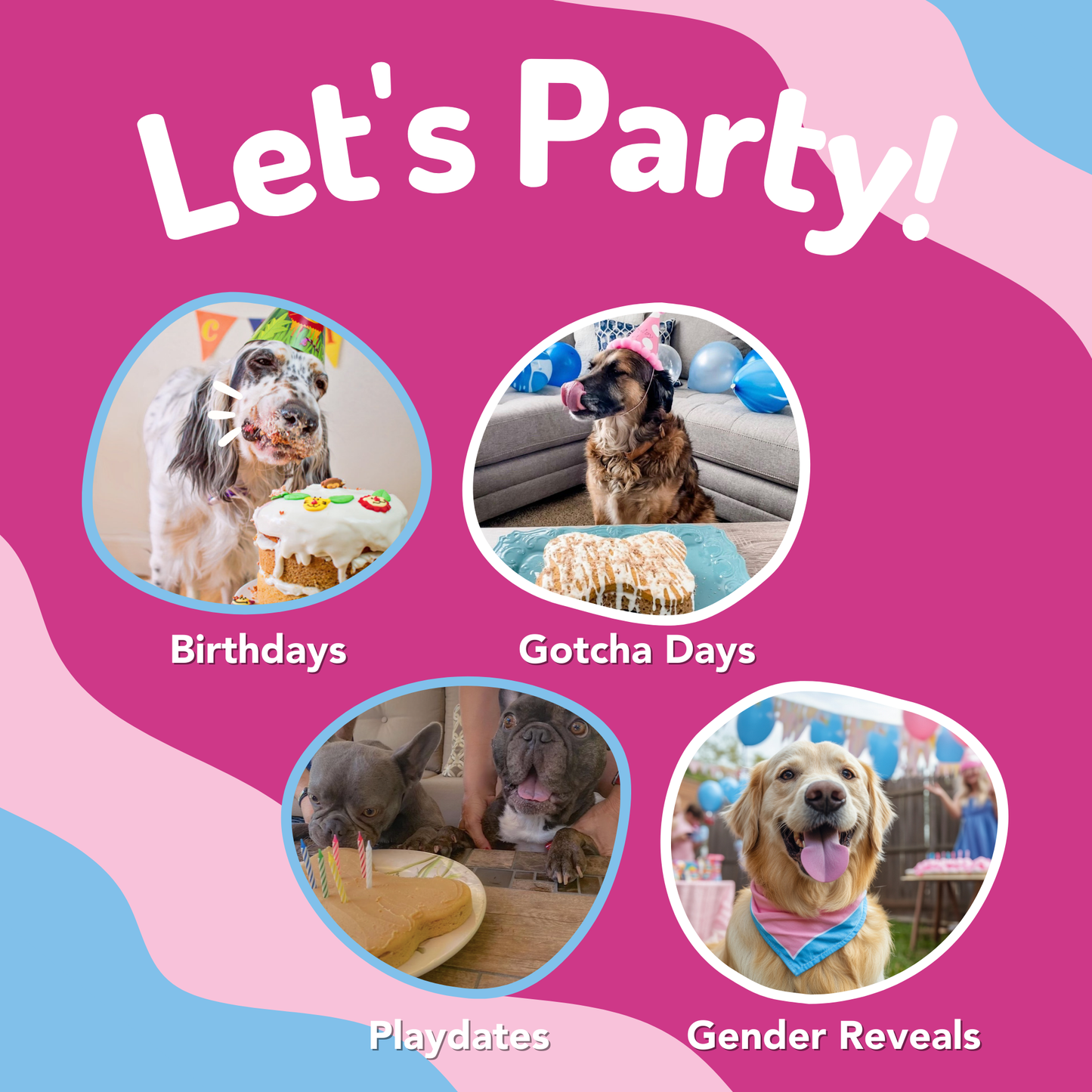 Dog Birthday Cake in A Cup - Peanut