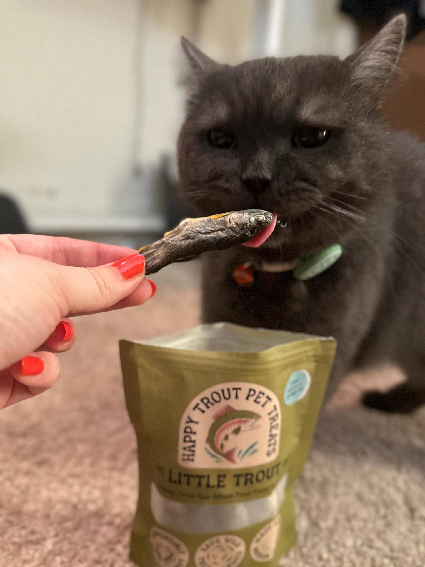 Little Trout Treats