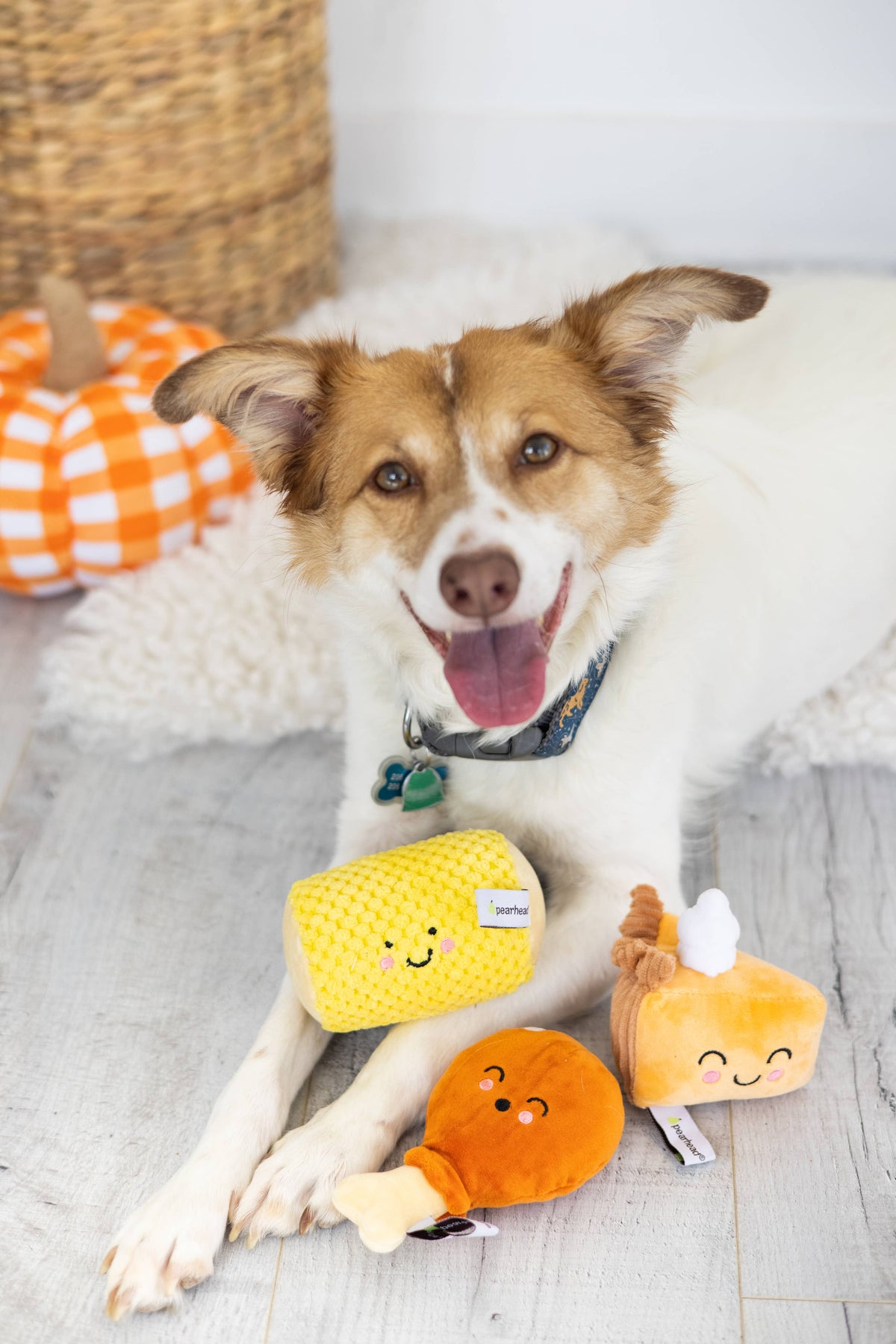 Thanksgiving Dinner Toy Set