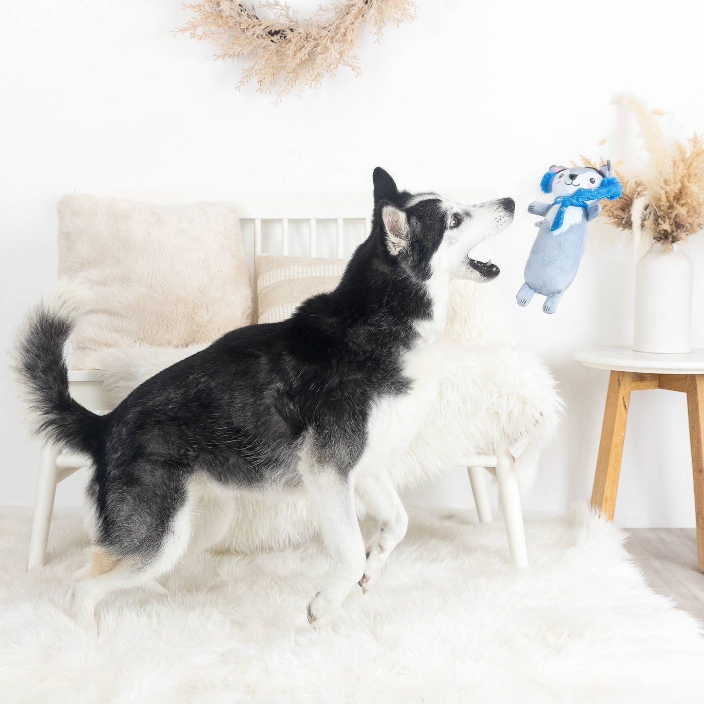 Looking Cool Dog Toy