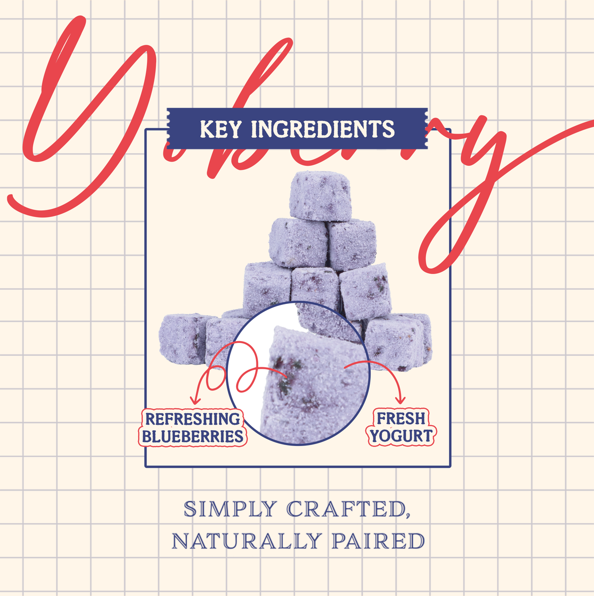 Yogurt, Cheese & Blueberry Mini Treat