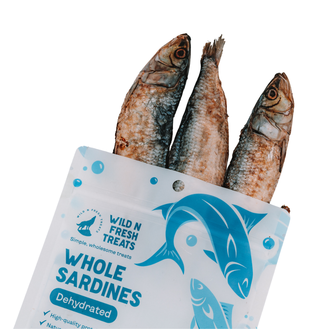 Dehydrated Whole Sardines
