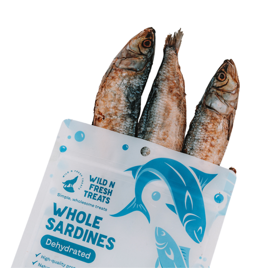 Dehydrated Whole Sardines