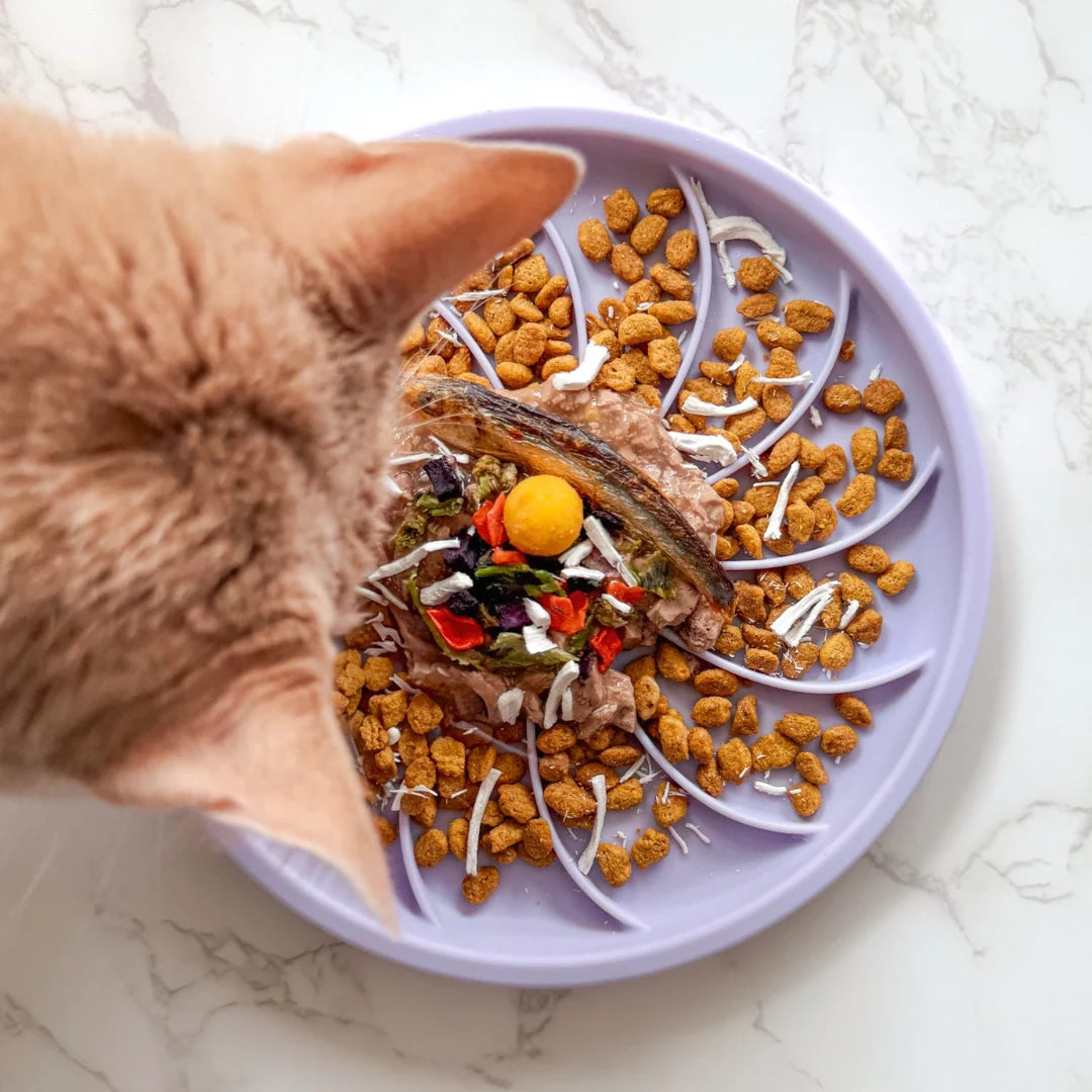 Wheelies Lick Mat & Lid | Fig