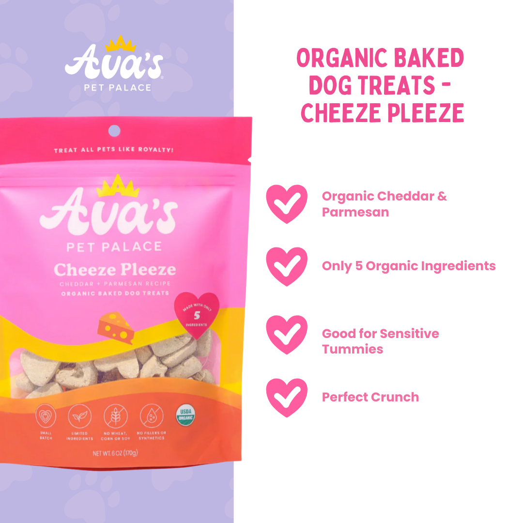 Cheeze Pleeze Dog Treats