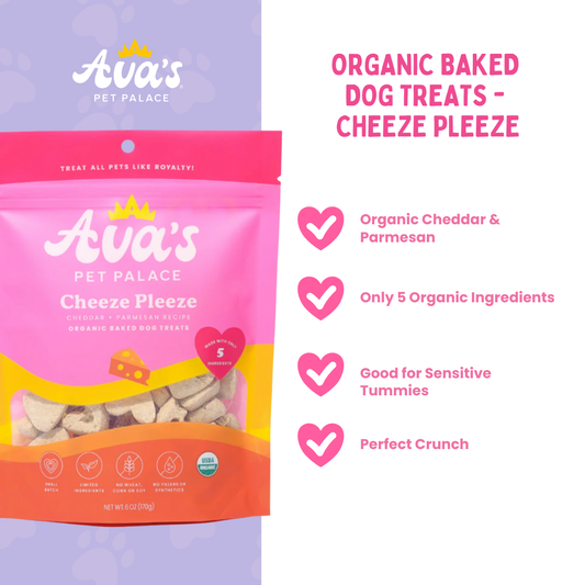 Cheeze Pleeze Dog Treats