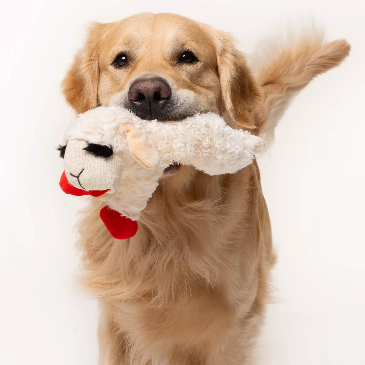 10.5" Lamb Chop  Dog Toy